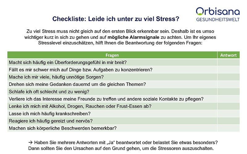 Checkliste Stress - Fragen und mögliche Alarmsignale